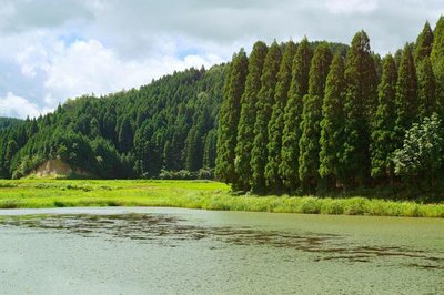 🏞️ 가시바루 습지(가시바루시쓰겐)